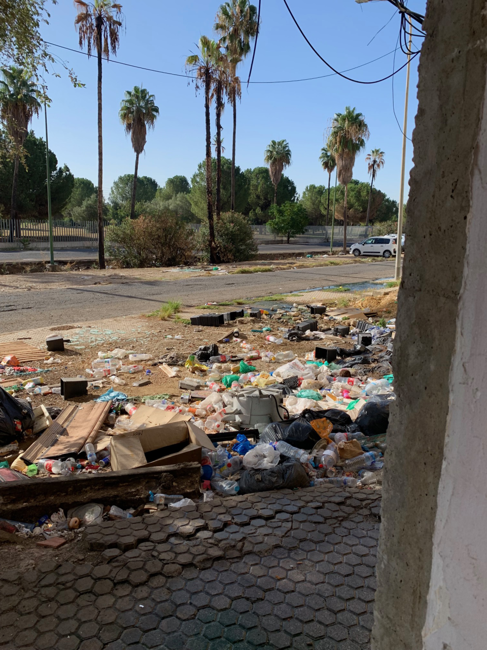 © Simon Bequoye en Iedereen Leest